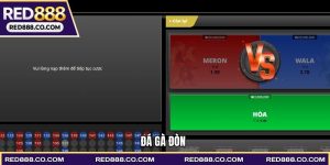 Đá gà đòn